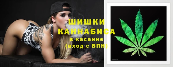 сатива Балабаново
