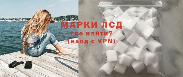 стаф Арсеньев
